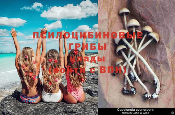 jwh Верхний Тагил